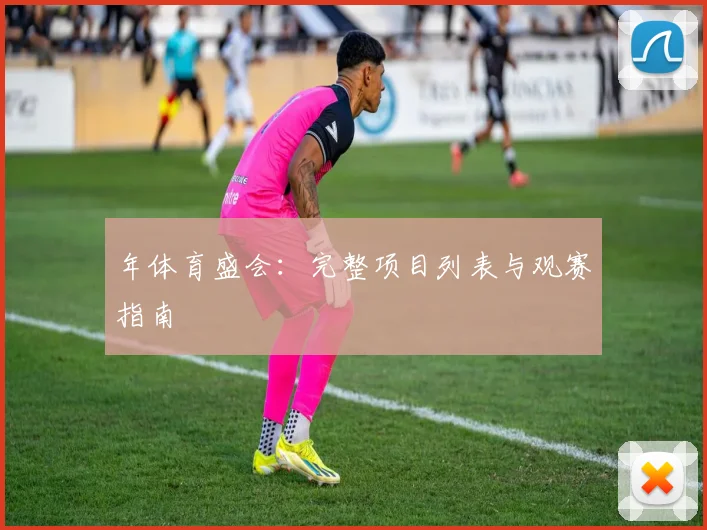 年体育盛会：完整项目列表与观赛指南